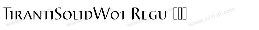 TirantiSolidW01 Regu字体转换